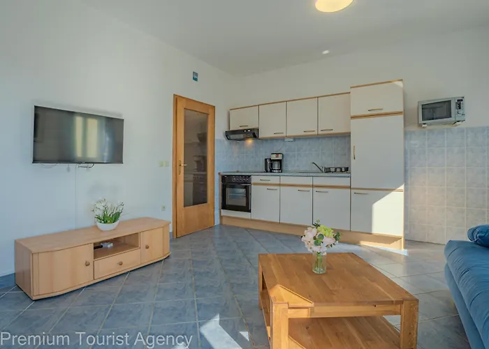 Vidovic Apartman Vir